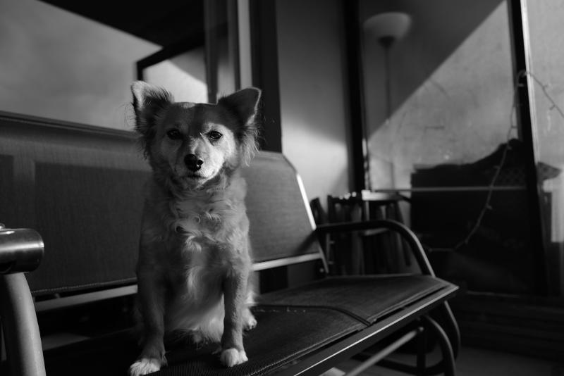 Máy ảnh Leica Q2 Reporter | Nhập Khẩu Máy ảnh Leica Q2 Reporter | Nhập Khẩu