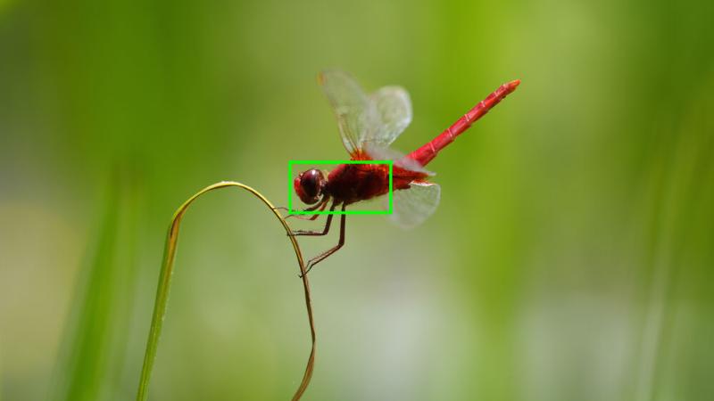 MÁY ẢNH SONY ALPHA A7R MARK V (Chính hãng) MÁY ẢNH SONY ALPHA A7R MARK V (Chính hãng)