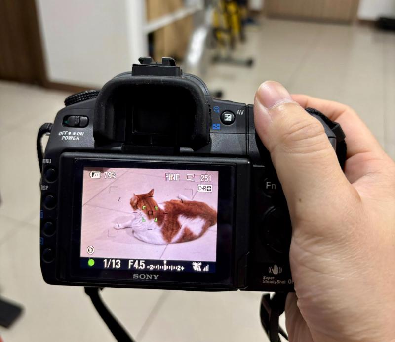 Máy Ảnh Sony A300 Máy Ảnh Sony A300