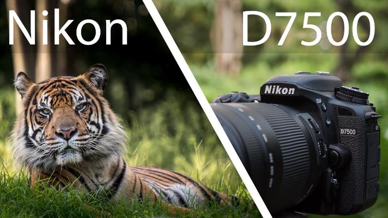 Nikon D7500 DSLR kèm Kit AF-S DX NIKKOR 18-140mm f/3.5-5.6G ED VR Lens Nikon D7500 DSLR kèm Kit AF-S DX NIKKOR 18-140mm f/3.5-5.6G ED VR Lens